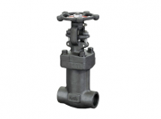 鍛鋼閥門和鑄鋼閥門區別是什么