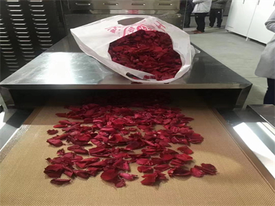 微波隧道爐烘干鮮花逐漸成為花卉加工領域的新選擇
