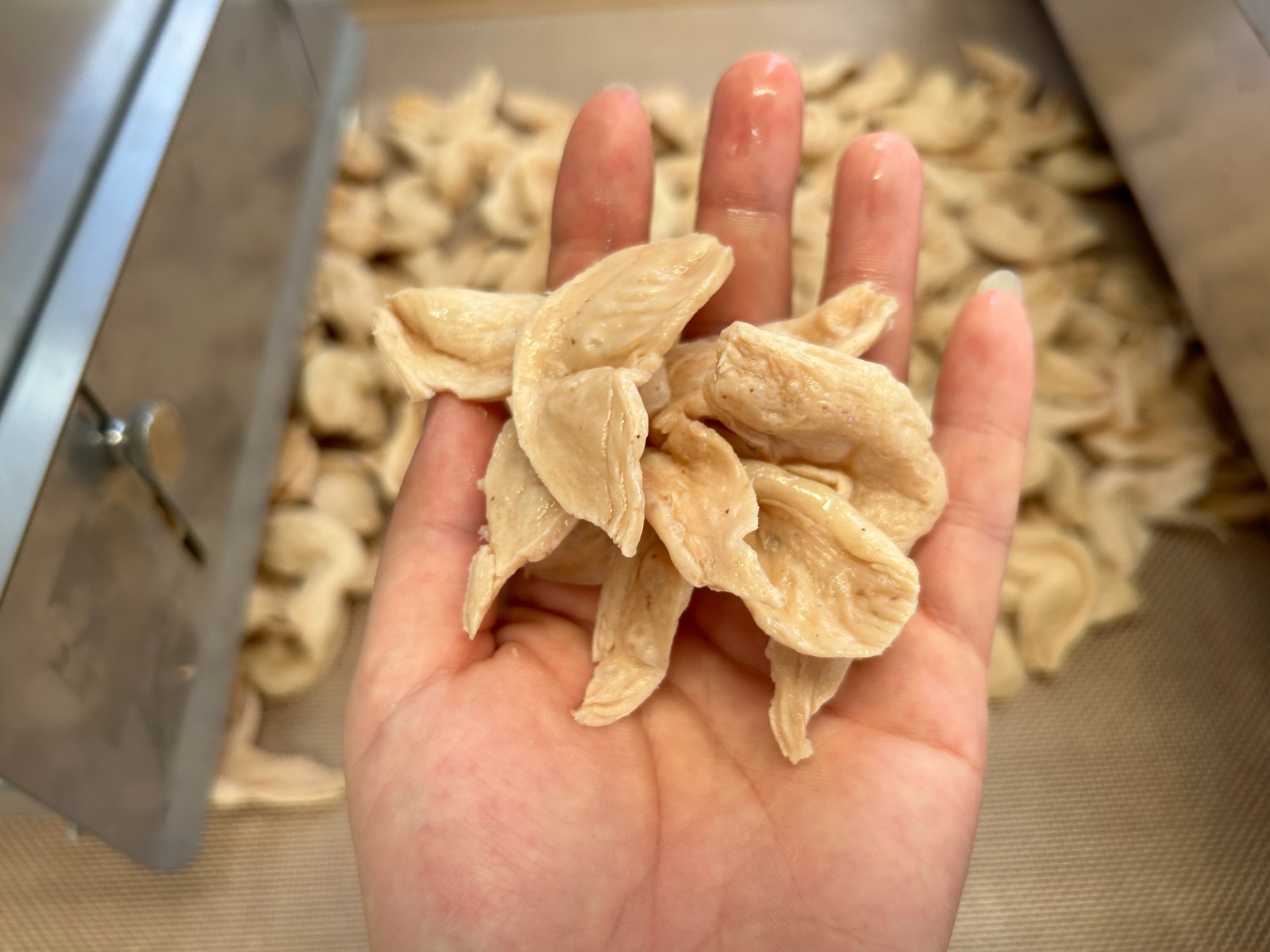 你知道微波隧道爐對(duì)豆制品進(jìn)行連續(xù)烘干的作用原理嗎