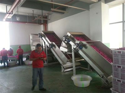 ?微波烘干隧道爐為花卉產業的繁榮和發展注入新的活力