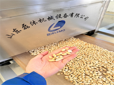 微波烘烤隧道爐實(shí)現(xiàn)了無(wú)油健康烘烤方式和香脆口感