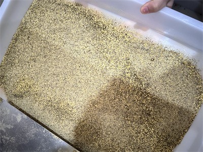 雜糧粉、代餐粉利用微波設備進行干燥殺菌過程