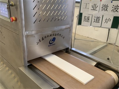 水性涂料微波快速烘干生產(chǎn)線