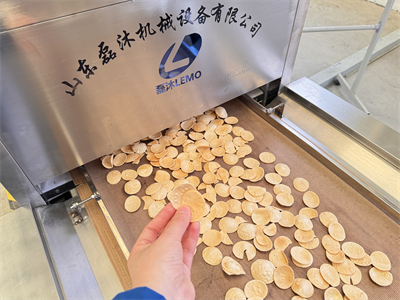 微波膨化設(shè)備正在書寫蝦片加工行業(yè)的新篇章