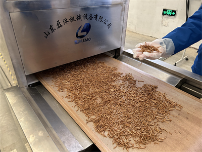 黃粉蟲微波烘干設備解決了傳統烘干方法存在的諸多問題